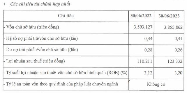 Thêm lô trái phiếu 1.000 tỷ đồng của doanh nghiệp nhà Novaland chậm thanh toán lãi gốc - Ảnh 3.