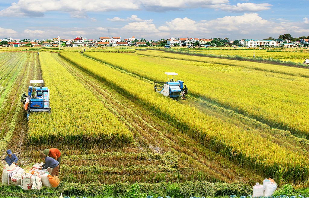 Phát triển Cần Thơ thành cực tăng trưởng vùng Đồng bằng sông Cửu Long