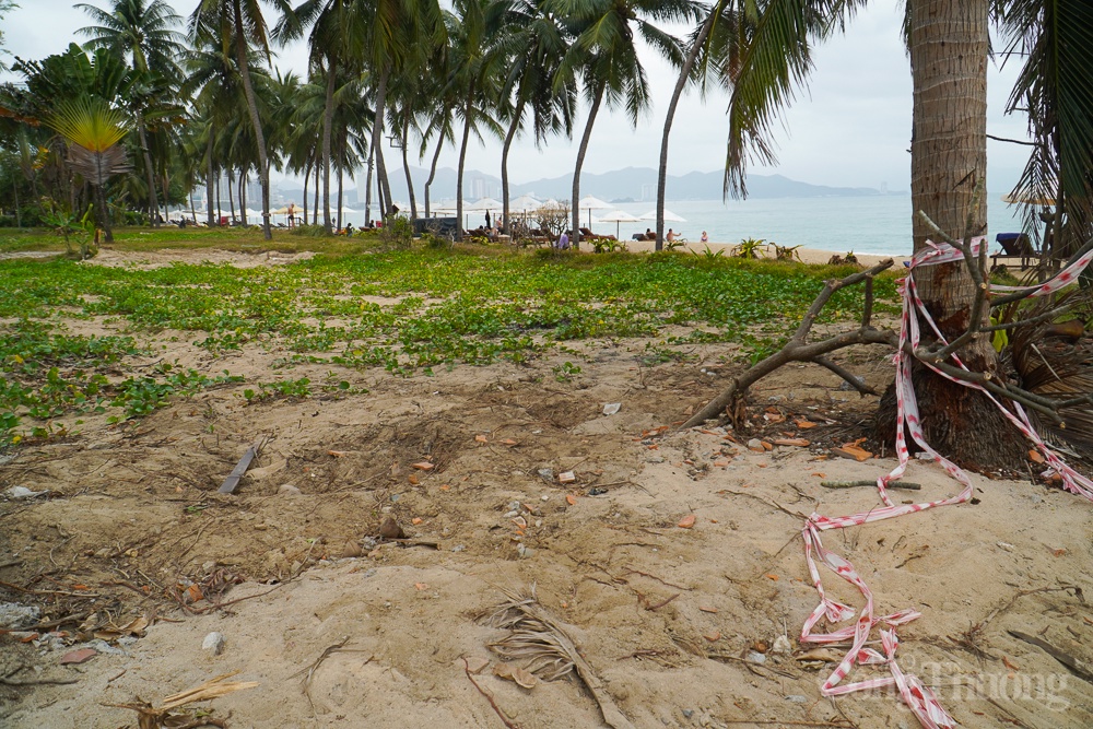 Khánh Hòa: Tháo dỡ hoàn toàn khu du lịch chắn ngang đường xuống biển Nha Trang