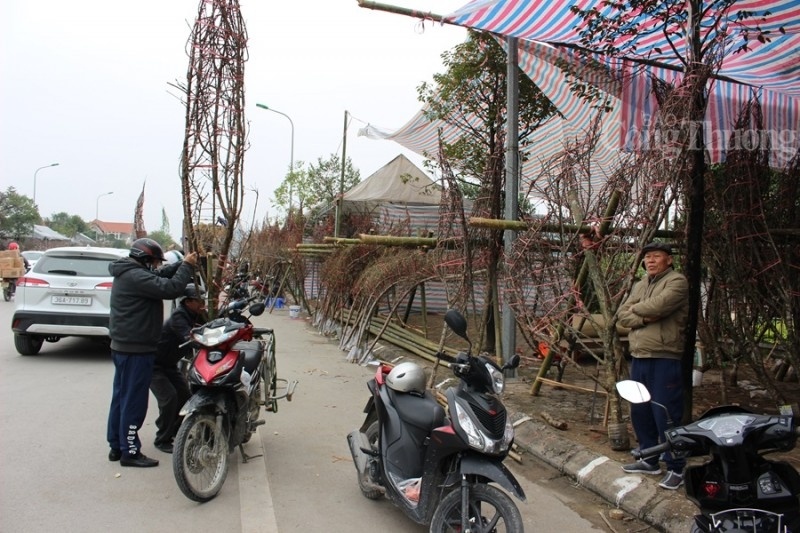 Thanh Hóa: Rộn ràng sắc Tết