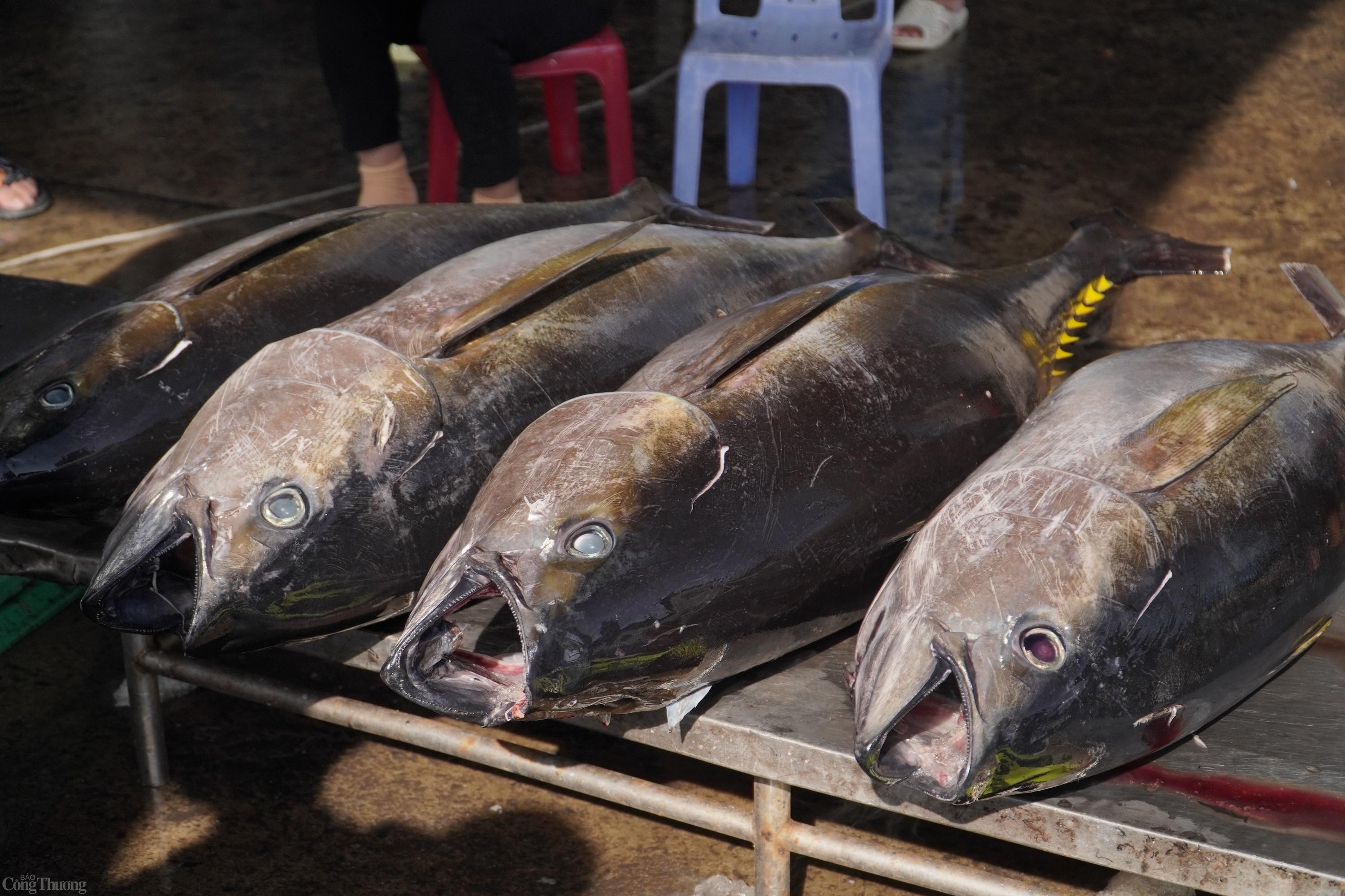 Hàng Khánh Hoà nhiều tiềm năng tiến vào thị trường Indonesia