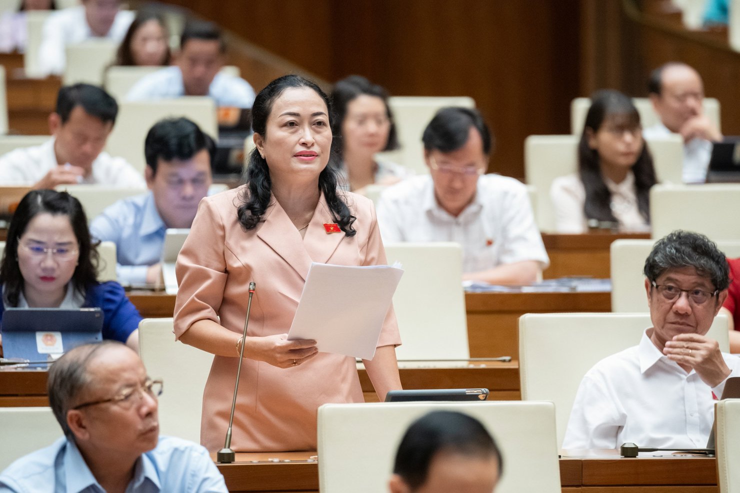 Đại biểu Trần Thị Hoa Ry - Đoàn ĐBQH tỉnh Bạc Liêu đề xuất tích hợp 2 phương án.