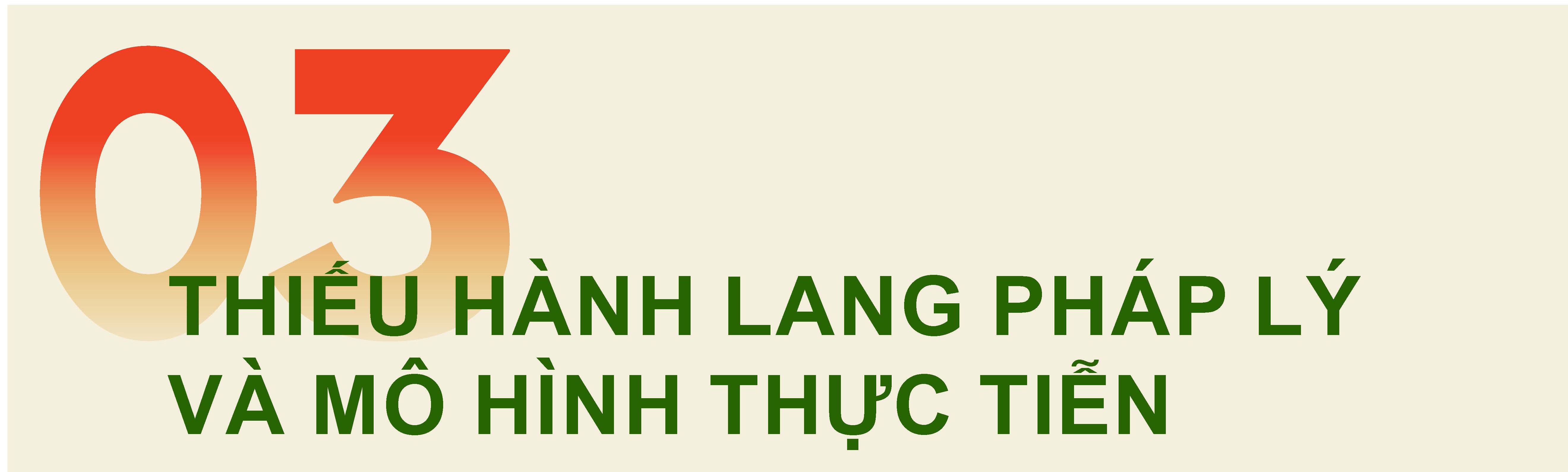 Giảm phát thải khí nhà kính, ngành than lo đời sống của hàng vạn thợ mỏ