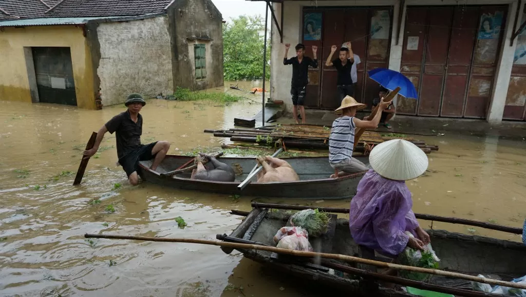 cảnh báo lũ