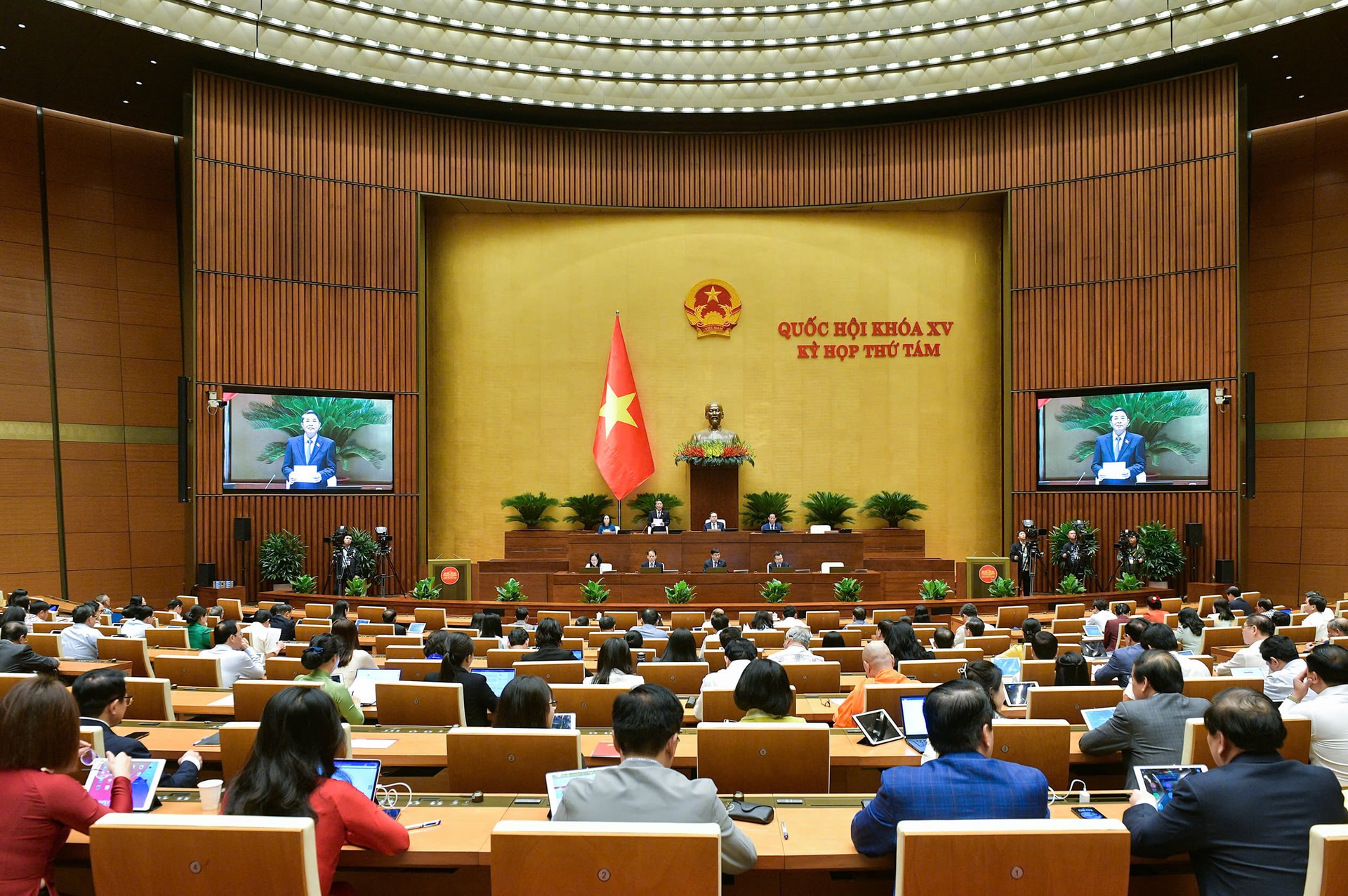 dai-bieu-2.jpg
