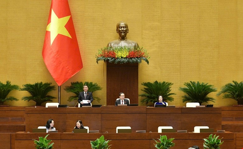 toan-canh.jpg