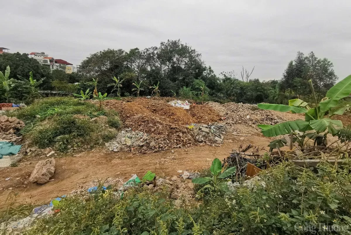 Hà Nội: Ai đang rầm rập cày xới, hủy hoại hàng nghìn m2 đất nông nghiệp? Hà Nội: Ai đang rầm rập cày xới, hủy hoại hàng nghìn m2 đất nông nghiệp?