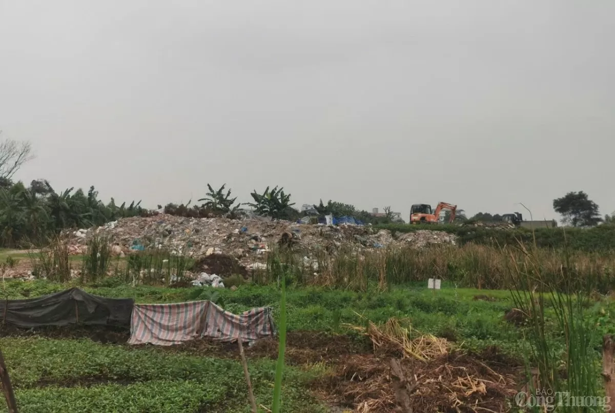 Hà Nội: Ai đang rầm rập cày xới, hủy hoại hàng nghìn m2 đất nông nghiệp? Hà Nội: Ai đang rầm rập cày xới, hủy hoại hàng nghìn m2 đất nông nghiệp?