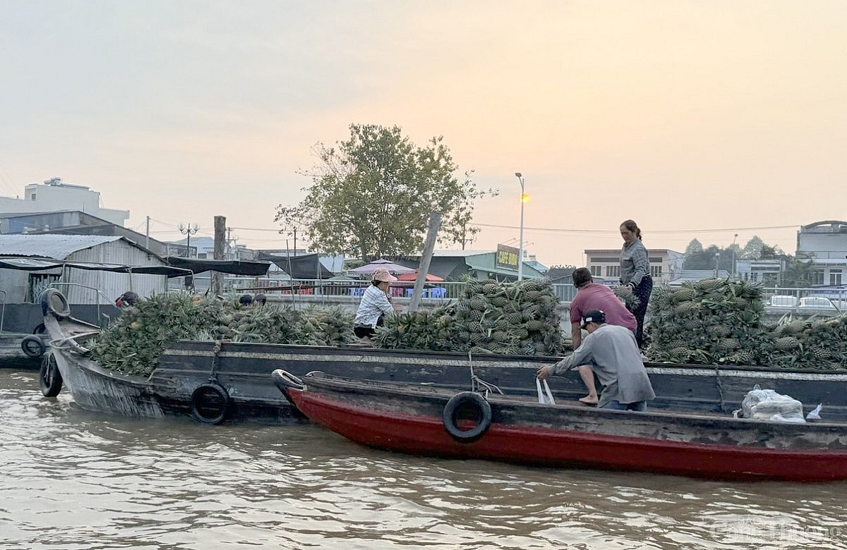Chợ nổi Cái Răng: Độc đáo, đặc sắc miền Tây sông nước