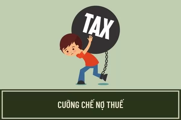 Cưỡng chế thuế Chi nhánh Đồng Tháp–Công ty Trường An Thoại Sơn Cưỡng chế thuế Chi nhánh Đồng Tháp–Công ty Trường An Thoại Sơn