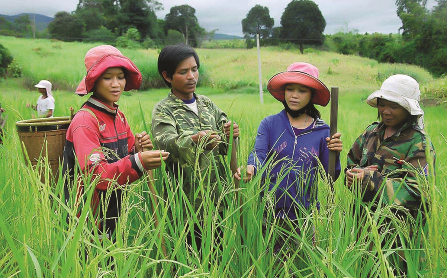 Hỗ trợ vốn cần gắn kết tốt với chuyển giao khoa học - kỹ thuật, đầu ra hàng hóa để có hiệu quả cao.