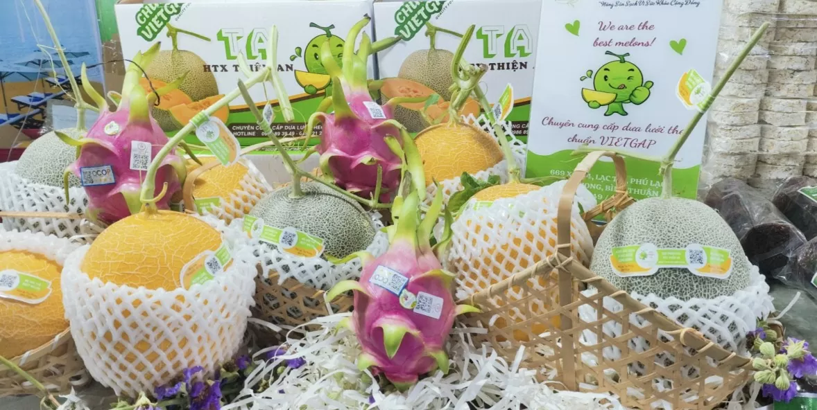 Xúc tiến thương mại mở lối cho dưa lưới công nghệ cao Xúc tiến thương mại mở lối cho dưa lưới công nghệ cao