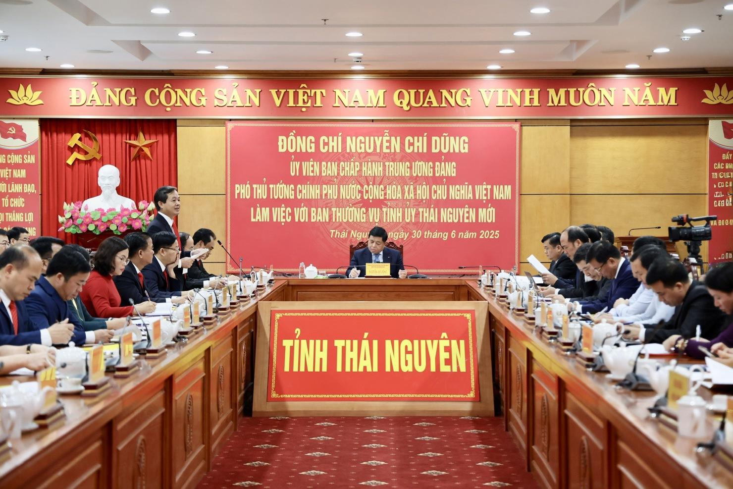 Phó Thủ tướng Chính phủ làm việc với Ban Thường vụ Tỉnh ủy Thái Nguyên. Ảnh: Báo Chính phủ
