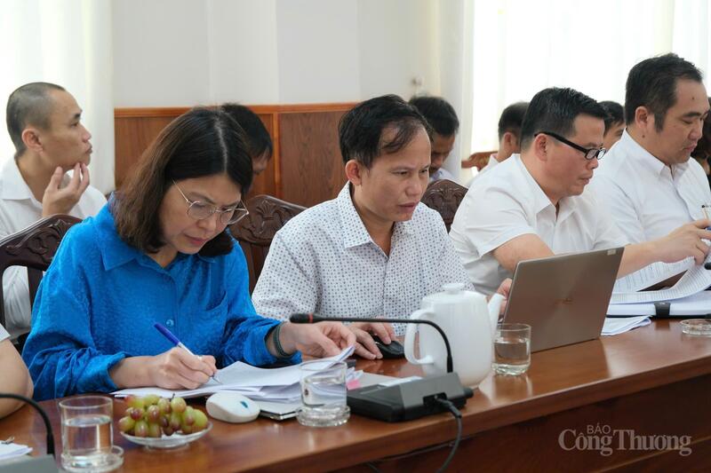 Các đại biểu tham dự buổi làm việc