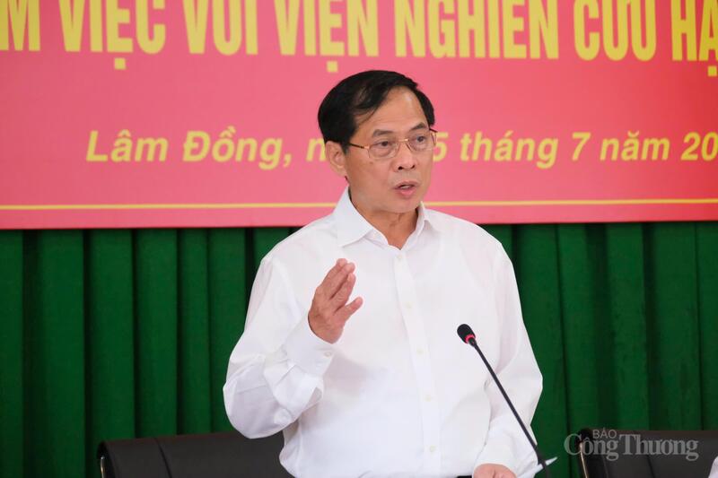 Phó Thủ tướng Chính phủ Bùi Thanh Sơn phát biểu kết luận buổi làm việc