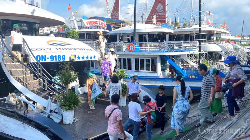 Toàn bộ các tàu trên vịnh Hạ Long sẽ được lắp đặt thiết bị AIS hoàn thành trước ngày 15/8