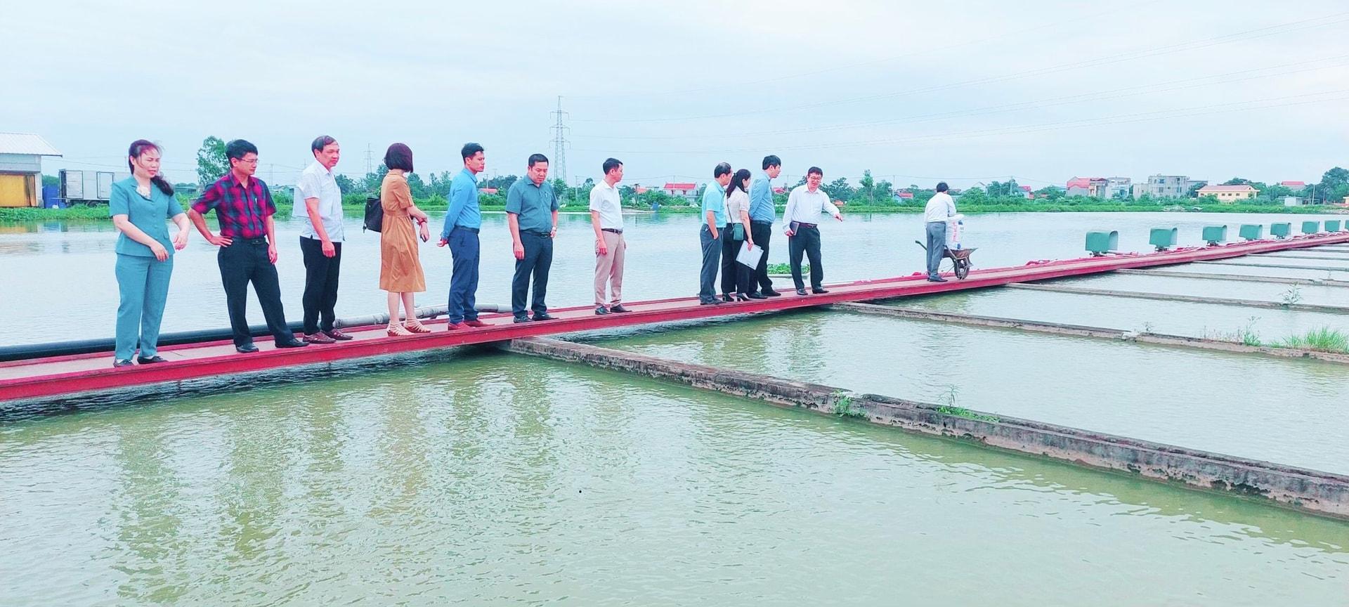 mo-hinh-song-trong-ao-o-dai-ang.jpg