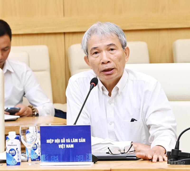 Ông Ngô Sỹ Hoài, Phó Chủ tịch kiêm Tổng Thư ký Hiệp hội Gỗ và Lâm sản Việt Nam. Ảnh: Cấn Dũng
