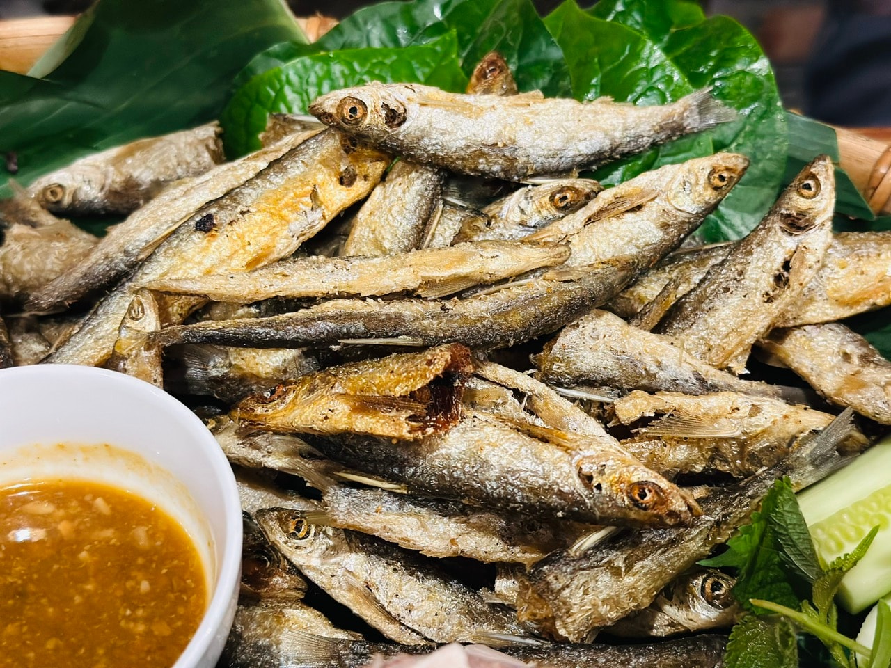 thai-nguyen-4.jpg