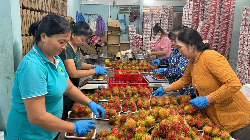 Nhiều loại đặc sản của bà con dân tộc đã có mặt rộng rãi trên thị trường. Ảnh minh hoạ