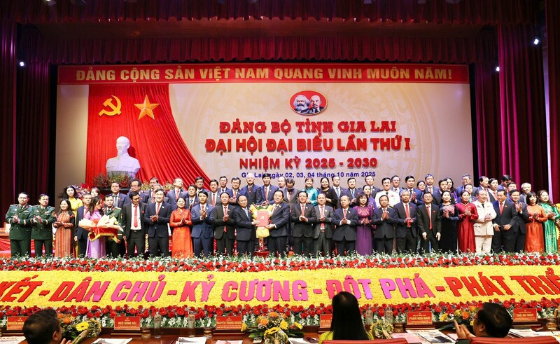 Ban Chấp hành Đảng bộ tỉnh Gia Lai gồm 60 ủy viên; Ban Thường vụ Tỉnh ủy gồm 18 ủy viên.