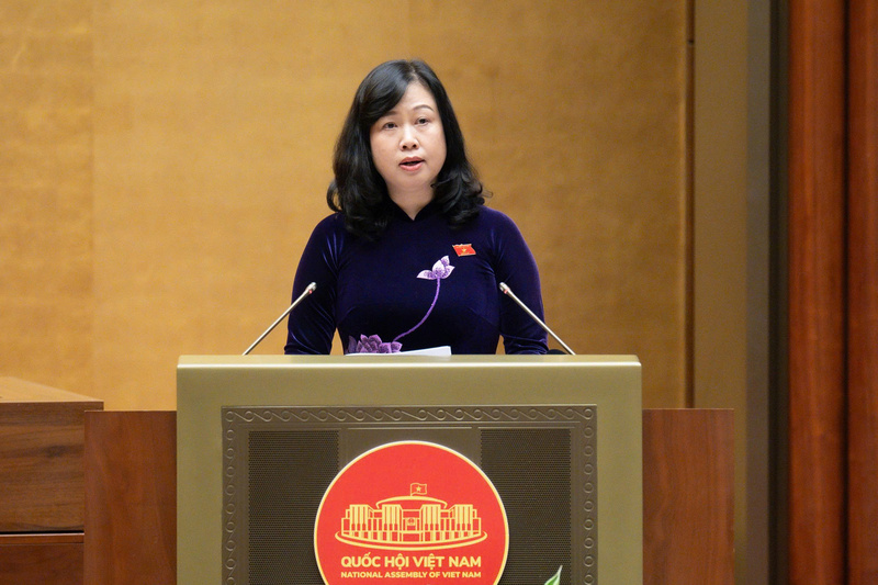 Bộ trưởng Bộ Y tế Đào Hồng Lan.