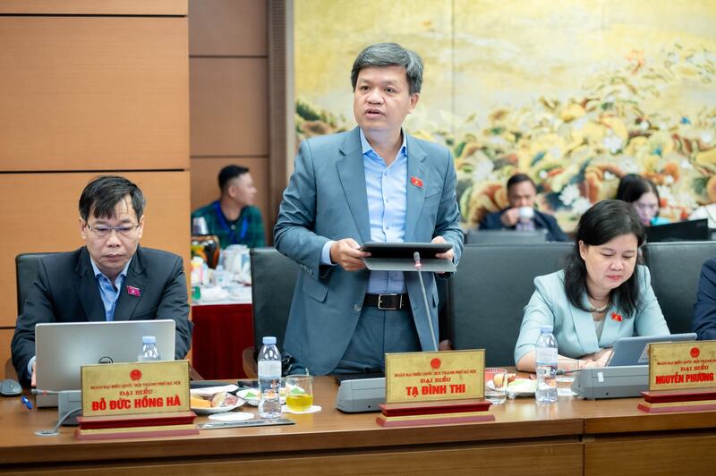 Đại biểu Tạ Đình Thi - đoàn TP Hà Nội. Ảnh: ĐBND