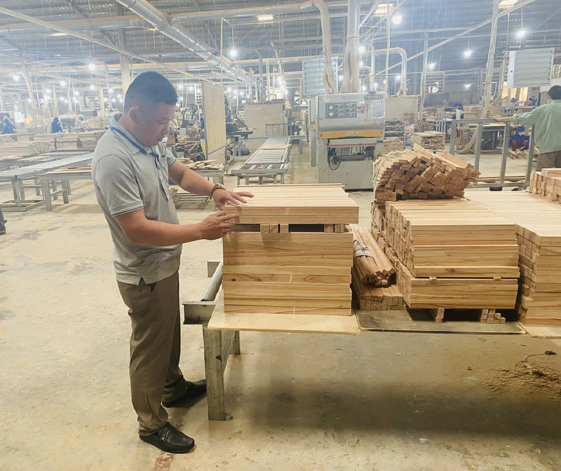 Sản xuất tại Công ty TNHH Ván gỗ Thuận An - doanh nghiệp có sản phẩm công nghiệp nông thôn tiêu biểu cấp quốc gia năm 2025 của tỉnh Quảng Trị. Ảnh: Thuận An