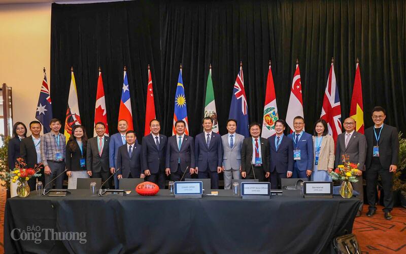 Phát biểu của Bộ trưởng Nguyễn Hồng Diên tại Phiên họp Hội đồng CPTPP  - 3