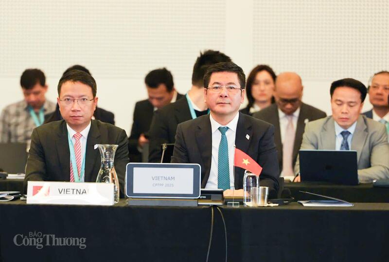 Phát biểu của Bộ trưởng Nguyễn Hồng Diên tại Phiên họp Hội đồng CPTPP  - 1