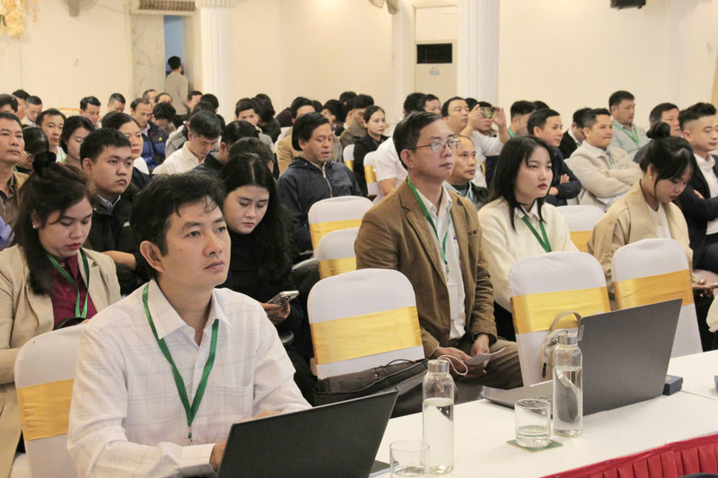 Các đại biểu tham gia tại hội nghị. Ảnh: Nguyễn Tuấn