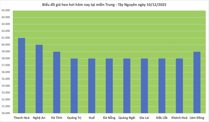 Giá heo hơi hôm nay 10/12/2025: Biến động trái chiều - 2