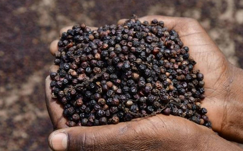 Xuất khẩu hồ tiêu hướng tới mốc 2 tỷ USD. Ảnh minh họa