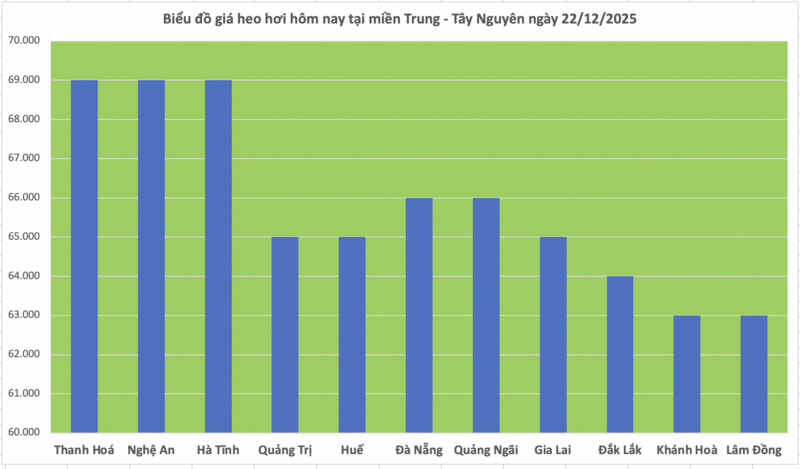 Giá heo hơi hôm nay 22/12/2025: Tiếp đà tăng, đạt đỉnh mới - 2