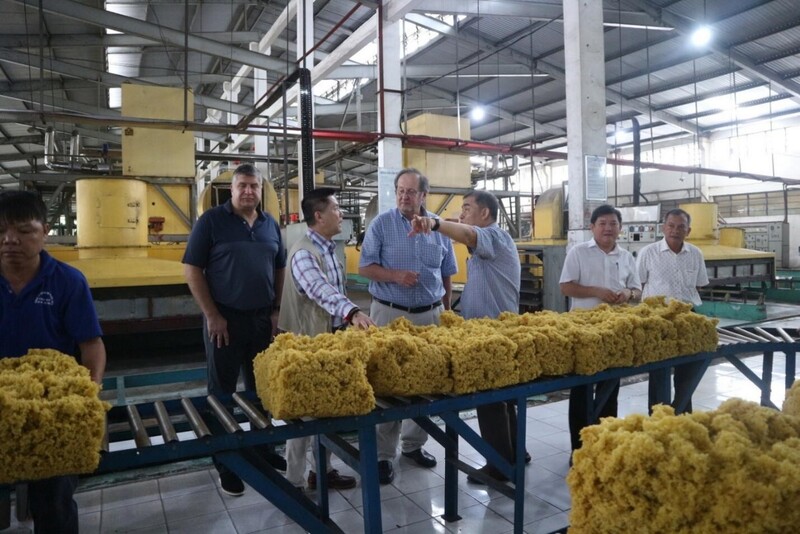 Dây chuyền sản xuất tại Công ty Cổ phần Cao su Phước Hòa.