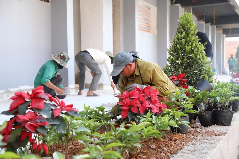 Không gian cây xanh và hoa được chăm chút trong khuôn viên của trường