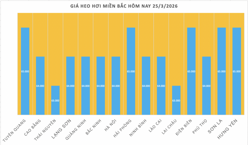 Giá heo hơi hôm nay 25/3/2026: Tiếp tục giảm sâu tại miền Bắc - 1
