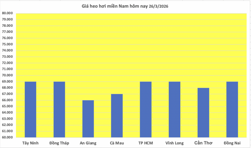 Giá heo hơi hôm nay 26/3: Đi ngang, cao nhất đạt 69.000 đồng/kg - 3