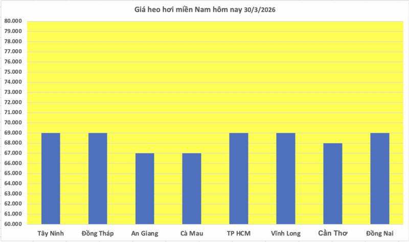 Giá heo hơi hôm nay 30/3/2026: Tiếp tục giảm nhiều nơi - 3