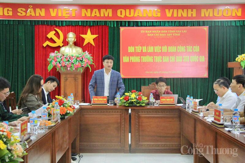 Ban Chỉ đạo 389 Quốc gia làm việc với Ban Chỉ đạo 389 tỉnh Gia Lai, tháng 1/2026.