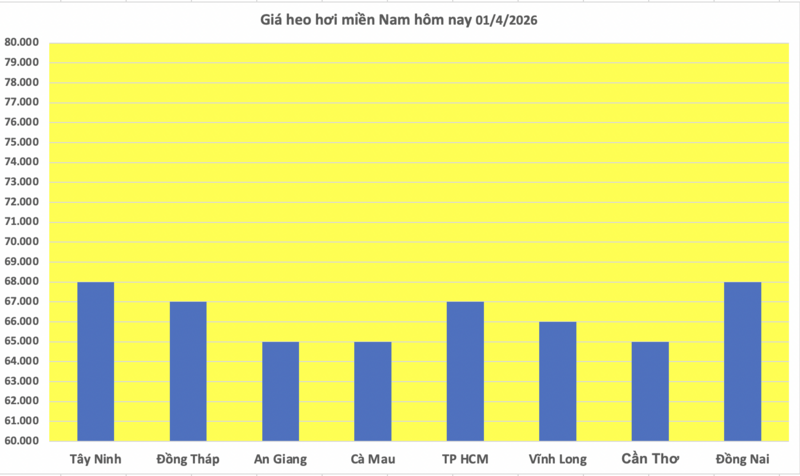Giá heo hơi hôm nay 01/4/2026: Biến động trái chiều - 3