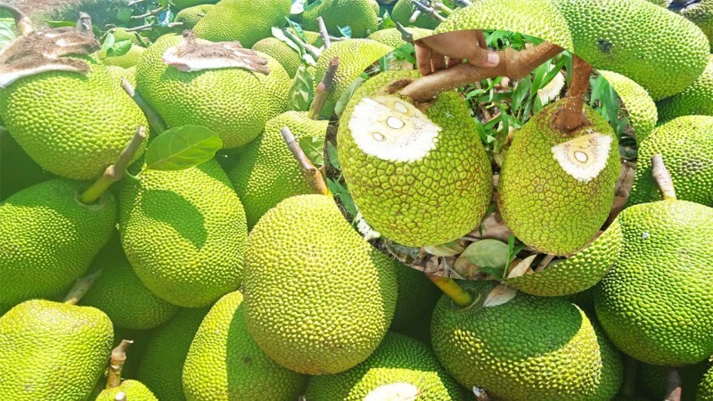 Giá mít biến động mạnh, cung cầu thiếu ổn định. Ảnh minh họa