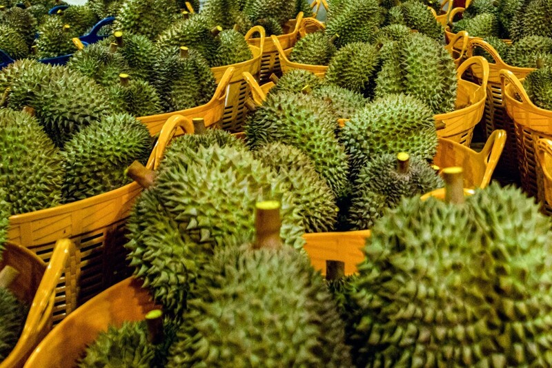 Sầu riêng Thái loại A được thu mua ở mức 160.000 - 170.000 đồng/kg, tăng 5.000 đồng/kg so với hôm trước. Ảnh minh hoạ