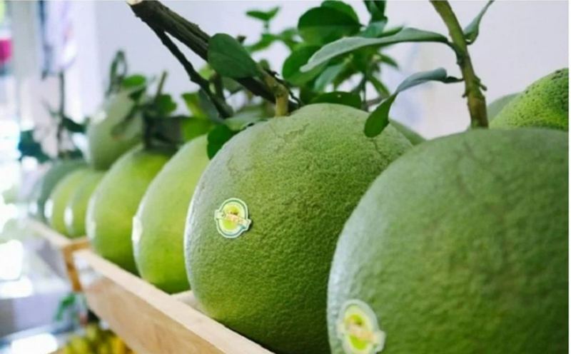 Trung Quốc đang nhập khẩu tới trên 100 nghìn tấn bưởi mỗi năm. Ảnh: NNMT