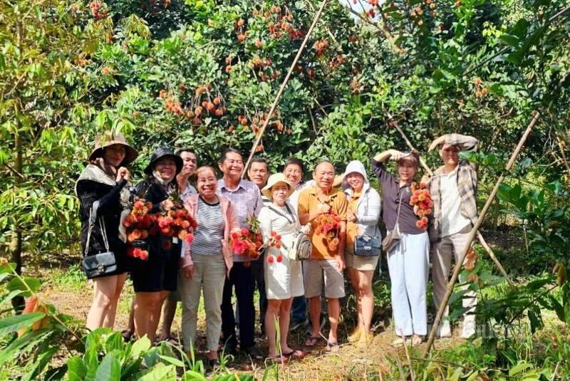 Không khí rộn ràng trong dịp lễ không chỉ mang lại niềm vui cho người dân mà còn góp phần thúc đẩy hoạt động thương mại, dịch vụ phát triển, các cơ sở lưu trú, nhà hàng, điểm tham quan đều ghi nhận công suất hoạt động cao, tạo động lực cho ngành du lịch địa phương tiếp tục phục hồi và tăng trưởng.