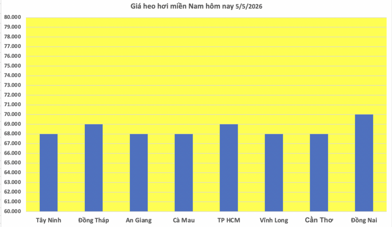 Giá heo hơi hôm nay 5/5/2026: Biến động trái chiều - 3