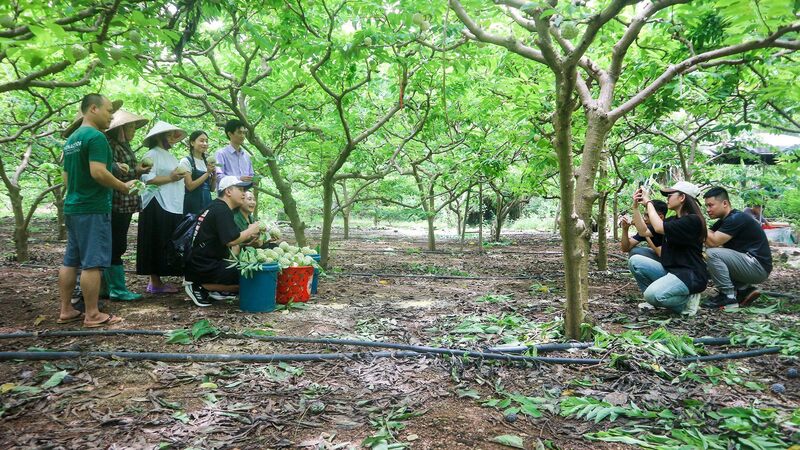 Team Đặc sản nông sản Thái Nguyên do chị Nguyễn Thị Bình khởi xướng đang tiến hành một phiên livestream quảng bá sản phẩm địa phương.