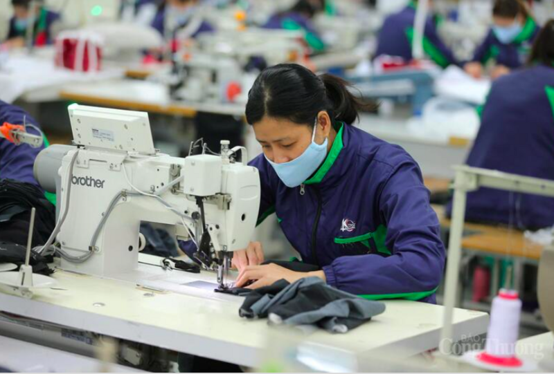 Việt Nam khẳng định vai trò dẫn dắt trong sản xuất, xuất khẩu hàng dệt may của ASEAN. Ảnh: Nguyễn Nam