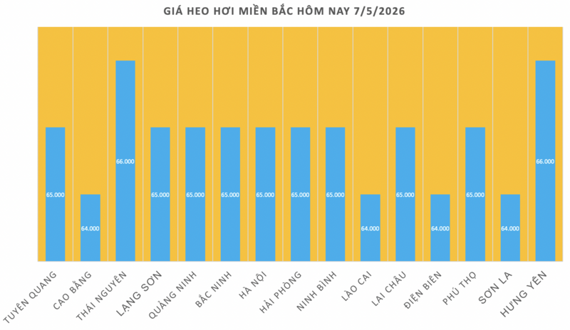 Giá heo hơi hôm nay 7/5/2026: Tăng nhẹ tại miền Bắc - 1