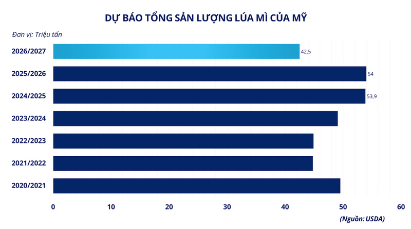 Dự báo tổng sản lượng lúa mì của Mỹ. Nguồn: MXV